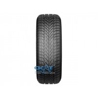 Paxaro Inverno 225/60 R17 103H XL