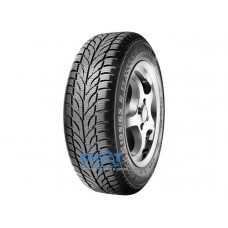Paxaro Winter 165/70 R14 81T
